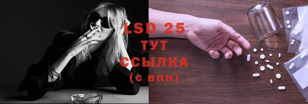 молекула духа Арсеньев