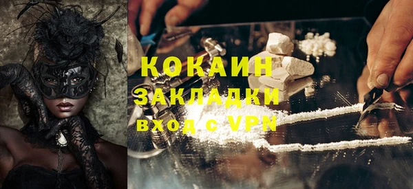 молекула духа Арсеньев