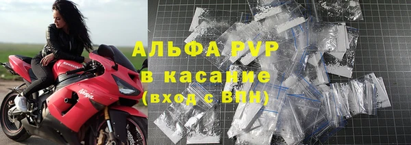 молекула духа Арсеньев