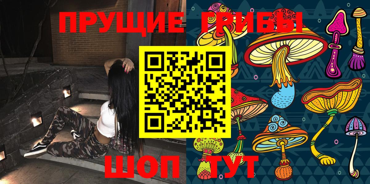 Сухой Лог  Галлюциногенные грибы прущие грибы  Вход с VPN 